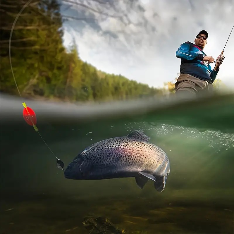 Premium 4 Colors Fly Fishing K - đánh giá và giá Fly Fishing Set