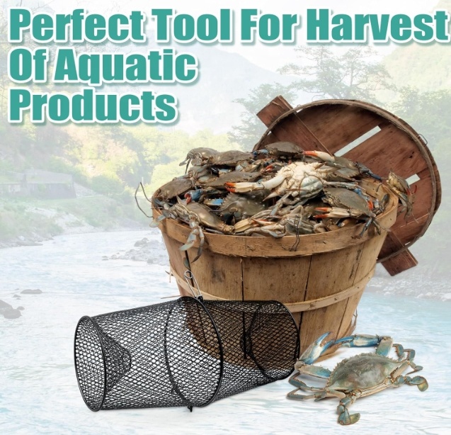 Metal Crawfish Trap Lobster Tr - đánh giá và giá Fishing Equipment Market