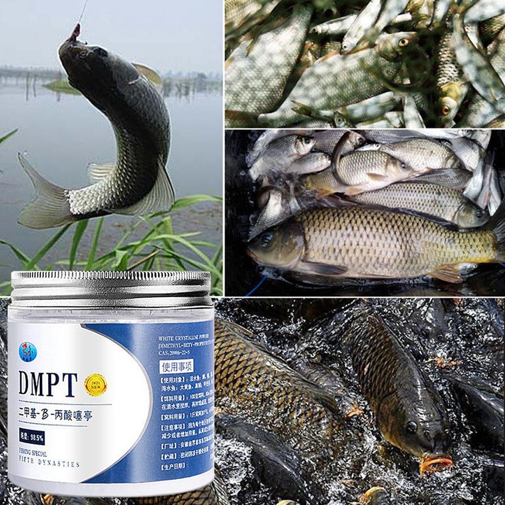 50g Real DMPT High Purity Fish - đánh giá và giá Fishing Equipment Market
